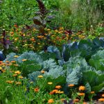 Healthy, Automated Gardens